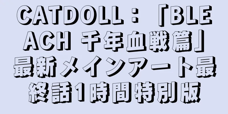 CATDOLL：「BLEACH 千年血戦篇」最新メインアート最終話1時間特別版