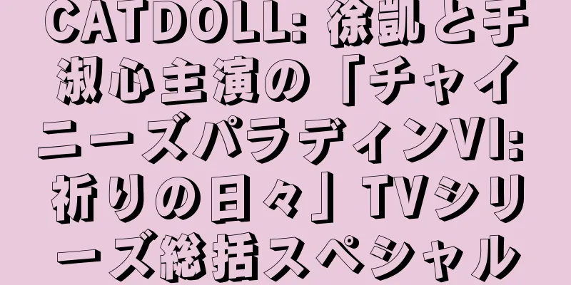 CATDOLL: 徐凱と于淑心主演の「チャイニーズパラディンVI: 祈りの日々」TVシリーズ総括スペシャル