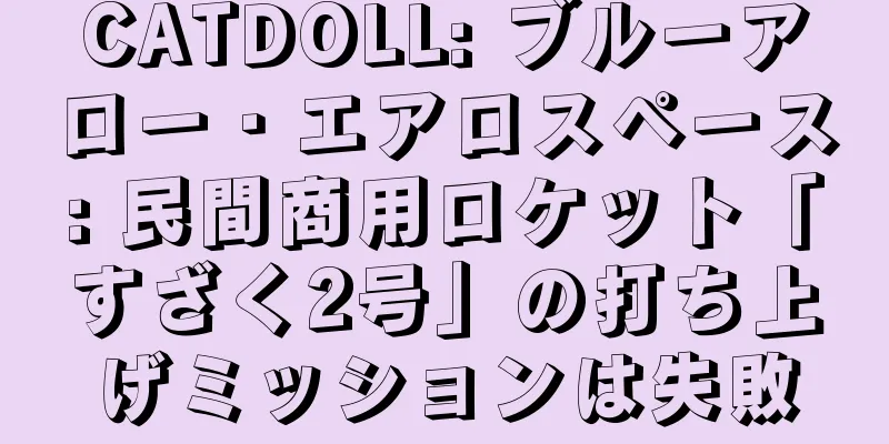 CATDOLL: ブルーアロー・エアロスペース: 民間商用ロケット「すざく2号」の打ち上げミッションは失敗