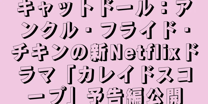 キャットドール：アンクル・フライド・チキンの新Netflixドラマ「カレイドスコープ」予告編公開