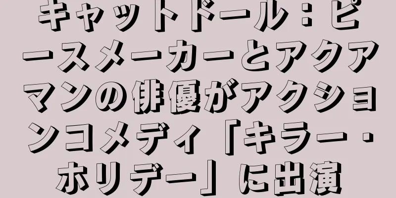キャットドール：ピースメーカーとアクアマンの俳優がアクションコメディ「キラー・ホリデー」に出演