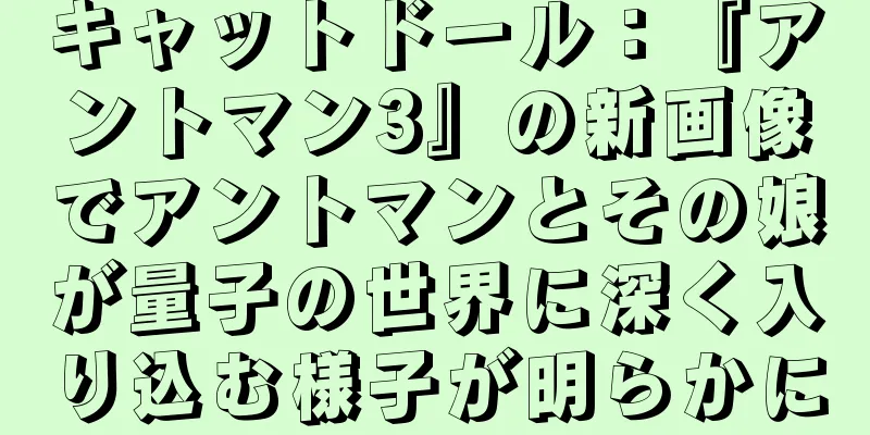 キャットドール：『アントマン3』の新画像でアントマンとその娘が量子の世界に深く入り込む様子が明らかに