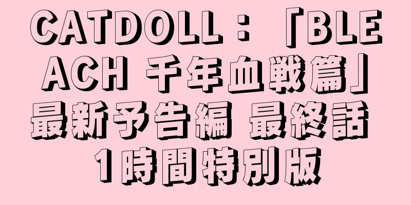 CATDOLL：「BLEACH 千年血戦篇」最新予告編 最終話 1時間特別版