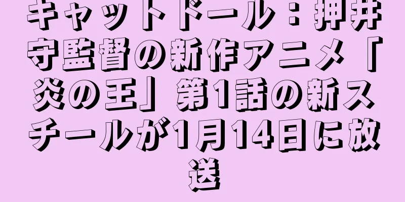 キャットドール：押井守監督の新作アニメ「炎の王」第1話の新スチールが1月14日に放送