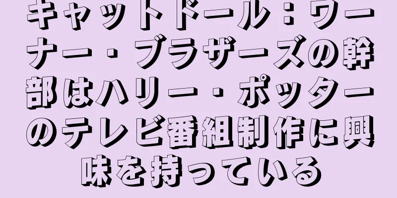 キャットドール：ワーナー・ブラザーズの幹部はハリー・ポッターのテレビ番組制作に興味を持っている