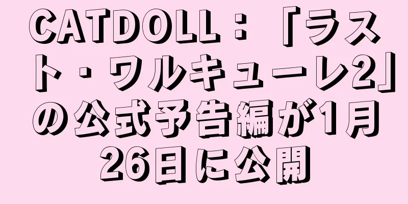 CATDOLL：「ラスト・ワルキューレ2」の公式予告編が1月26日に公開