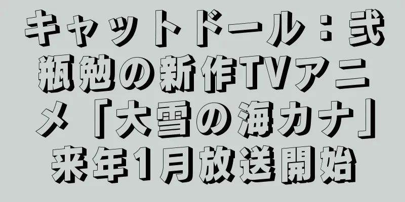 キャットドール：弐瓶勉の新作TVアニメ「大雪の海カナ」来年1月放送開始