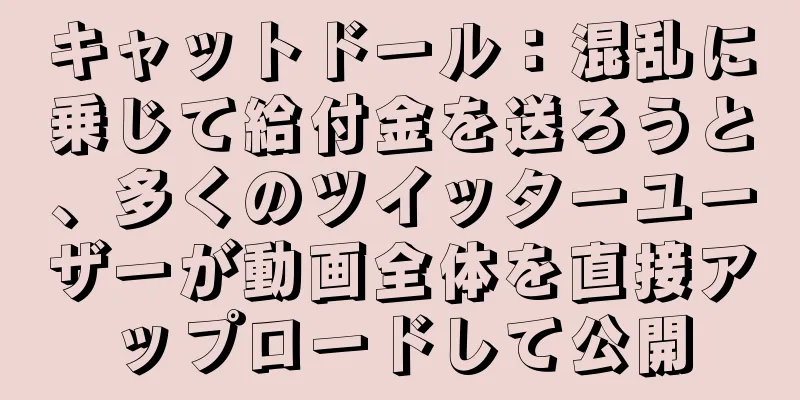 キャットドール：混乱に乗じて給付金を送ろうと、多くのツイッターユーザーが動画全体を直接アップロードして公開