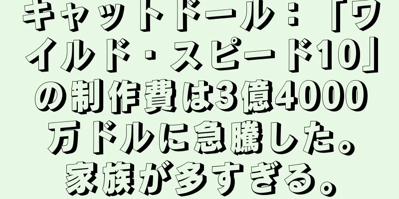 キャットドール：「ワイルド・スピード10」の制作費は3億4000万ドルに急騰した。家族が多すぎる。