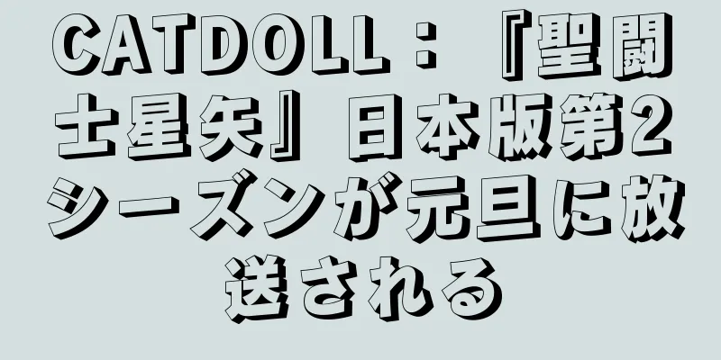 CATDOLL：『聖闘士星矢』日本版第2シーズンが元旦に放送される