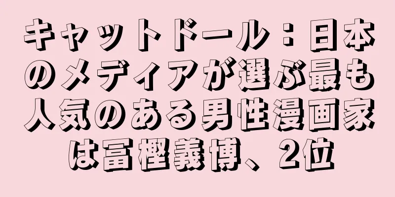キャットドール：日本のメディアが選ぶ最も人気のある男性漫画家は冨樫義博、2位