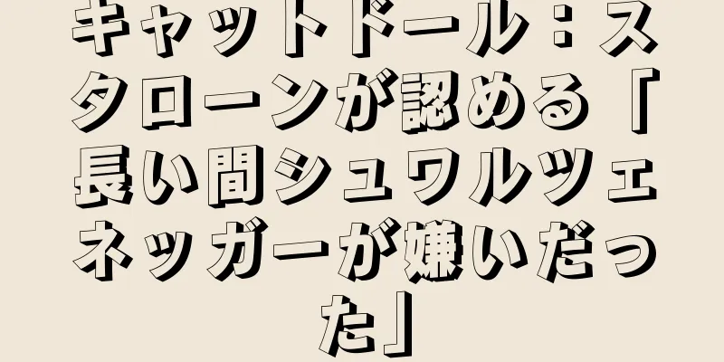 キャットドール：スタローンが認める「長い間シュワルツェネッガーが嫌いだった」