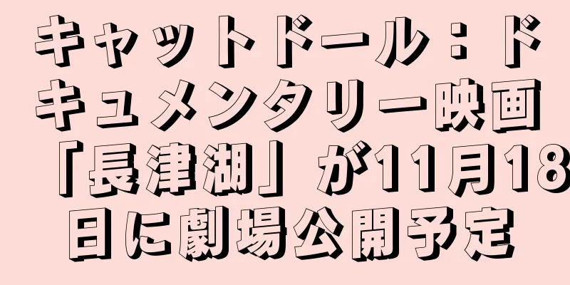 キャットドール：ドキュメンタリー映画「長津湖」が11月18日に劇場公開予定