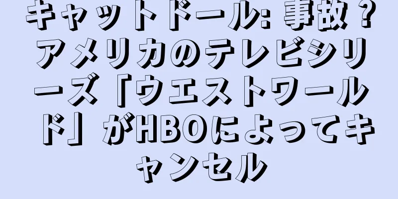 キャットドール: 事故？アメリカのテレビシリーズ「ウエストワールド」がHBOによってキャンセル