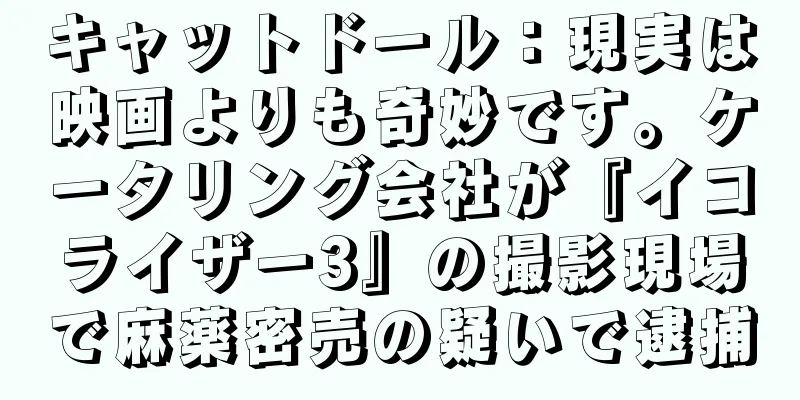 キャットドール：現実は映画よりも奇妙です。ケータリング会社が『イコライザー3』の撮影現場で麻薬密売の疑いで逮捕