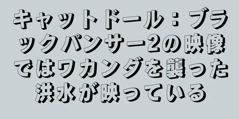 キャットドール：ブラックパンサー2の映像ではワカンダを襲った洪水が映っている