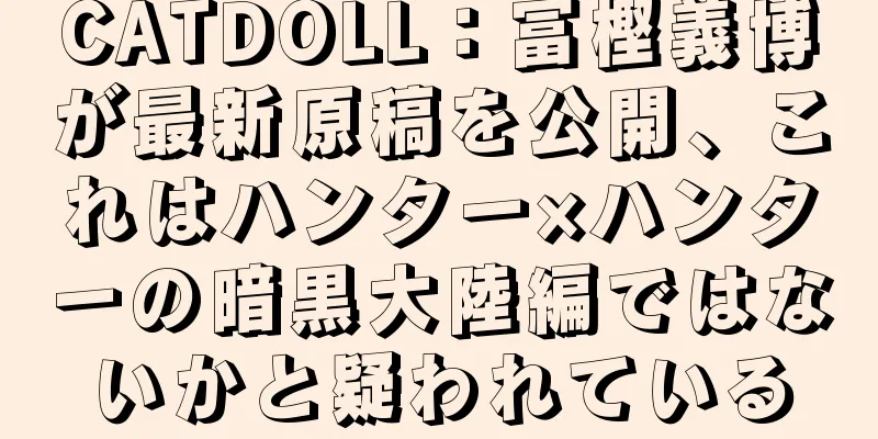 CATDOLL：冨樫義博が最新原稿を公開、これはハンター×ハンターの暗黒大陸編ではないかと疑われている