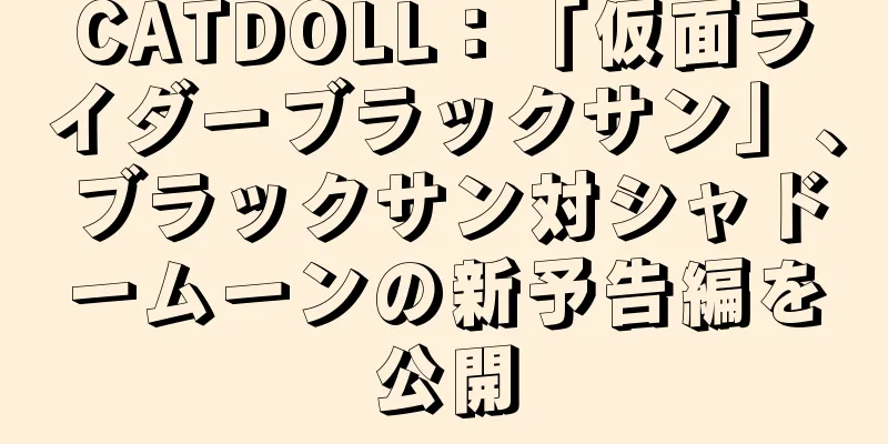 CATDOLL：「仮面ライダーブラックサン」、ブラックサン対シャドームーンの新予告編を公開