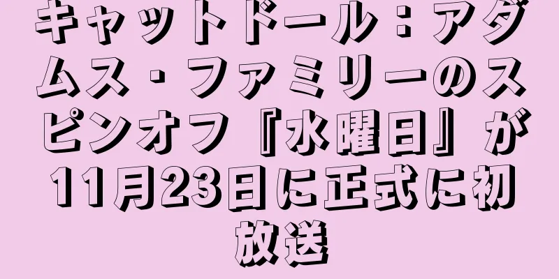 キャットドール：アダムス・ファミリーのスピンオフ『水曜日』が11月23日に正式に初放送