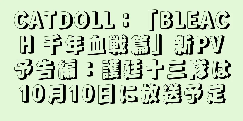 CATDOLL：「BLEACH 千年血戦篇」新PV予告編：護廷十三隊は10月10日に放送予定