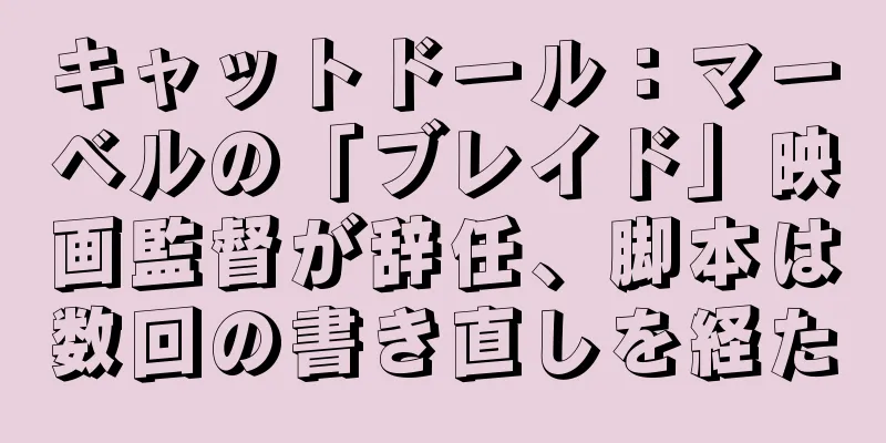 キャットドール：マーベルの「ブレイド」映画監督が辞任、脚本は数回の書き直しを経た