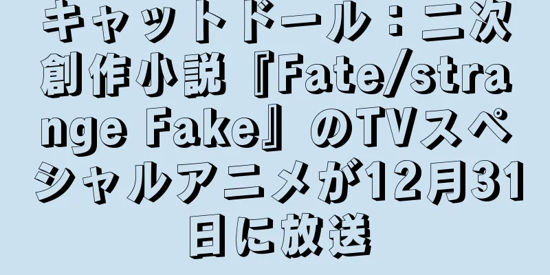 キャットドール：二次創作小説『Fate/strange Fake』のTVスペシャルアニメが12月31日に放送