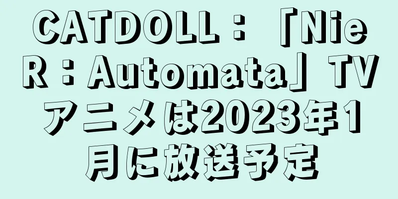 CATDOLL：「NieR：Automata」TVアニメは2023年1月に放送予定