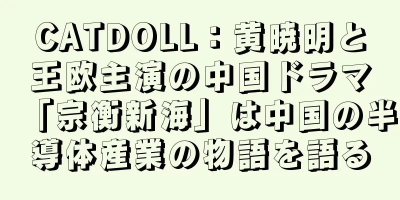 CATDOLL：黄暁明と王欧主演の中国ドラマ「宗衡新海」は中国の半導体産業の物語を語る