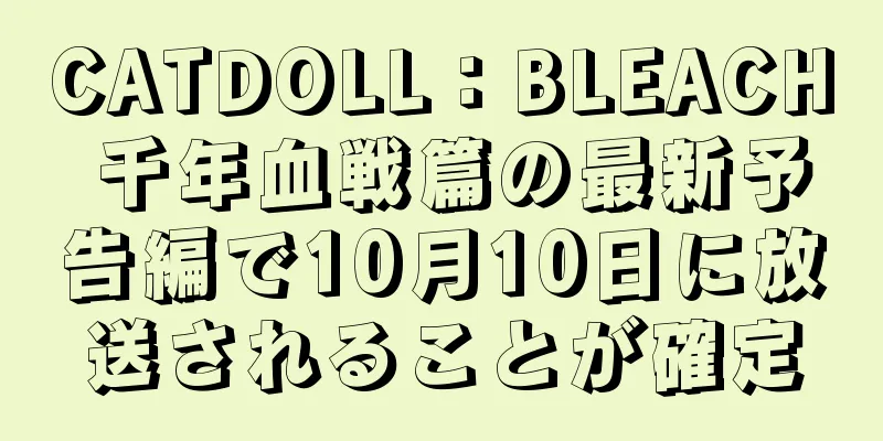 CATDOLL：BLEACH 千年血戦篇の最新予告編で10月10日に放送されることが確定