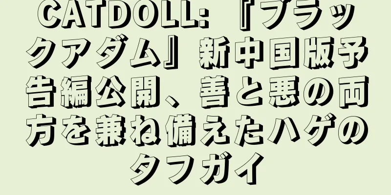 CATDOLL: 『ブラックアダム』新中国版予告編公開、善と悪の両方を兼ね備えたハゲのタフガイ