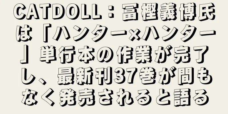 CATDOLL：冨樫義博氏は「ハンター×ハンター」単行本の作業が完了し、最新刊37巻が間もなく発売されると語る