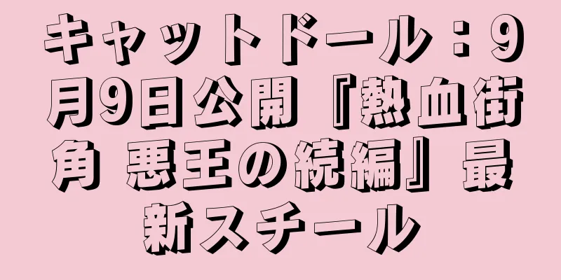 キャットドール：9月9日公開『熱血街角 悪王の続編』最新スチール