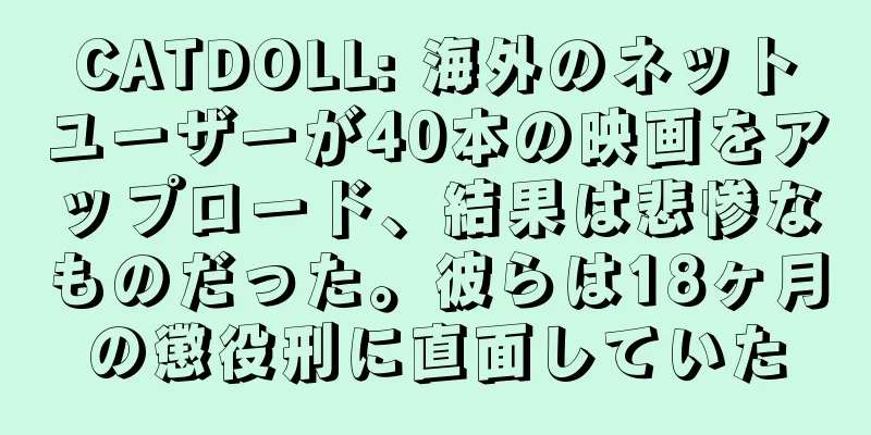 CATDOLL: 海外のネットユーザーが40本の映画をアップロード、結果は悲惨なものだった。彼らは18ヶ月の懲役刑に直面していた
