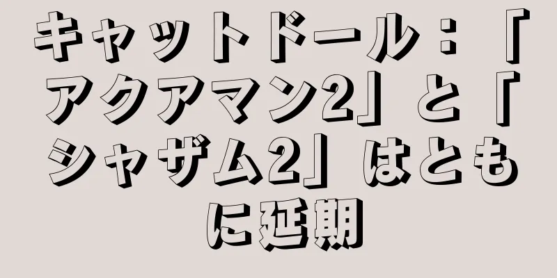 キャットドール：「アクアマン2」と「シャザム2」はともに延期