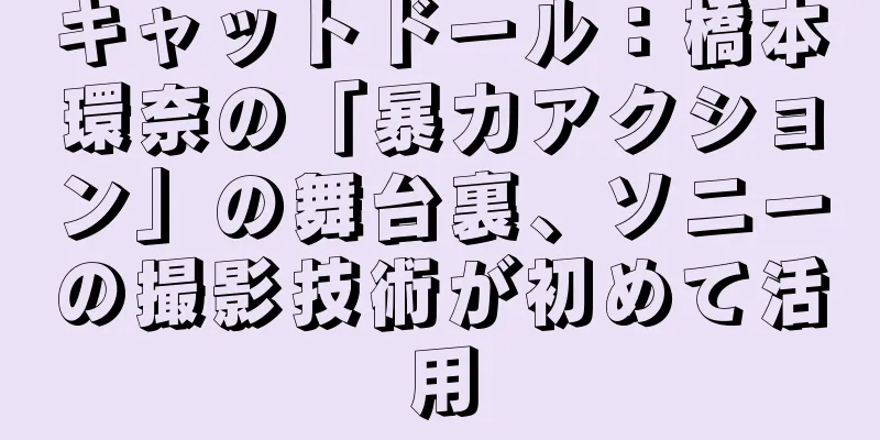 キャットドール：橋本環奈の「暴力アクション」の舞台裏、ソニーの撮影技術が初めて活用