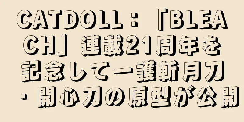 CATDOLL：「BLEACH」連載21周年を記念して一護斬月刀・開心刀の原型が公開