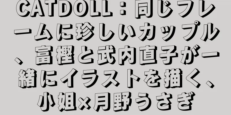 CATDOLL：同じフレームに珍しいカップル、富樫と武内直子が一緒にイラストを描く、小姐×月野うさぎ