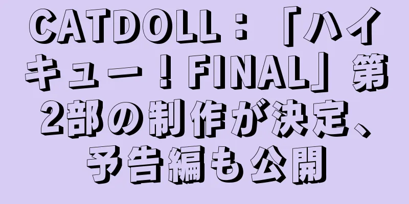 CATDOLL：「ハイキュー！FINAL」第2部の制作が決定、予告編も公開