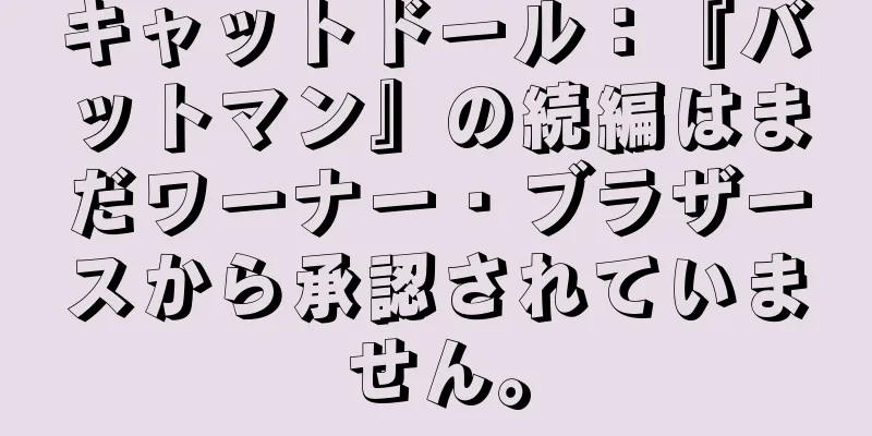 キャットドール：『バットマン』の続編はまだワーナー・ブラザースから承認されていません。