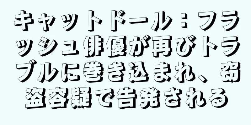 キャットドール：フラッシュ俳優が再びトラブルに巻き込まれ、窃盗容疑で告発される