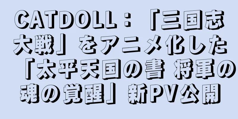 CATDOLL：「三国志大戦」をアニメ化した「太平天国の書 将軍の魂の覚醒」新PV公開