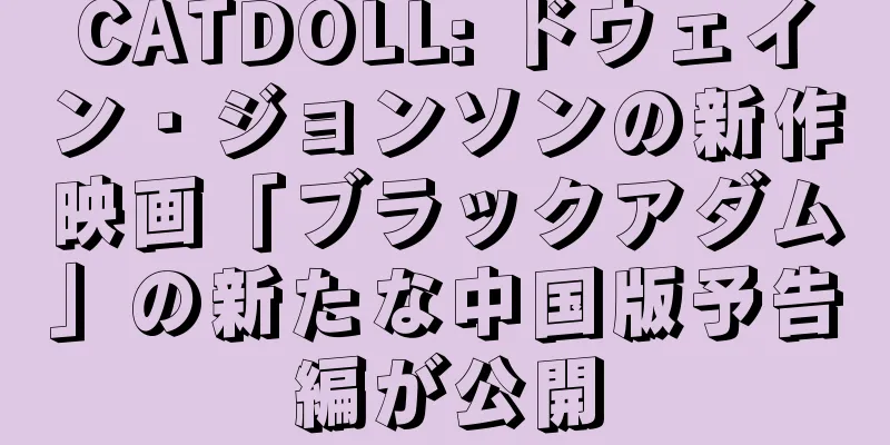 CATDOLL: ドウェイン・ジョンソンの新作映画「ブラックアダム」の新たな中国版予告編が公開