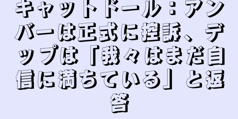 キャットドール：アンバーは正式に控訴、デップは「我々はまだ自信に満ちている」と返答