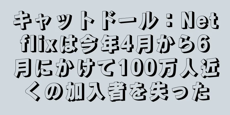 キャットドール：Netflixは今年4月から6月にかけて100万人近くの加入者を失った