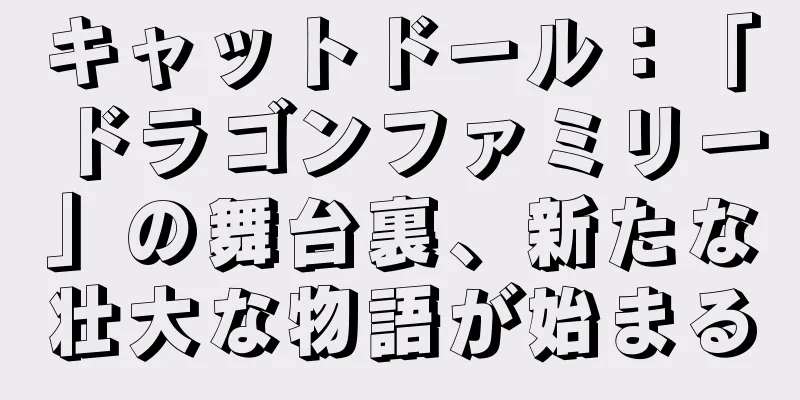 キャットドール：「ドラゴンファミリー」の舞台裏、新たな壮大な物語が始まる