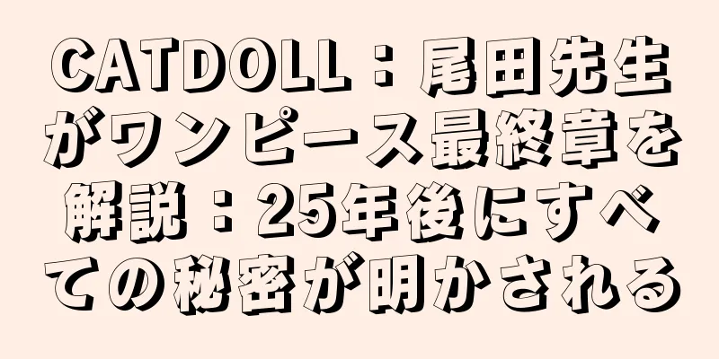 CATDOLL：尾田先生がワンピース最終章を解説：25年後にすべての秘密が明かされる