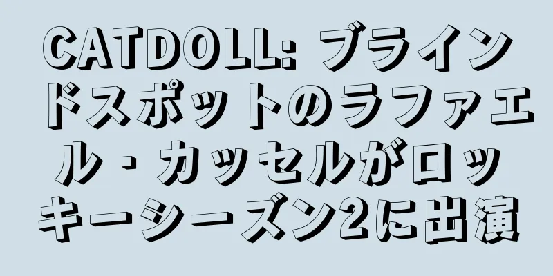 CATDOLL: ブラインドスポットのラファエル・カッセルがロッキーシーズン2に出演