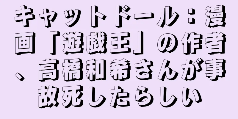 キャットドール：漫画「遊戯王」の作者、高橋和希さんが事故死したらしい