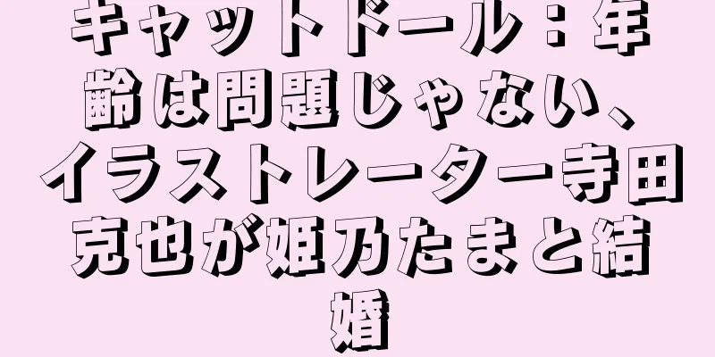 キャットドール：年齢は問題じゃない、イラストレーター寺田克也が姫乃たまと結婚