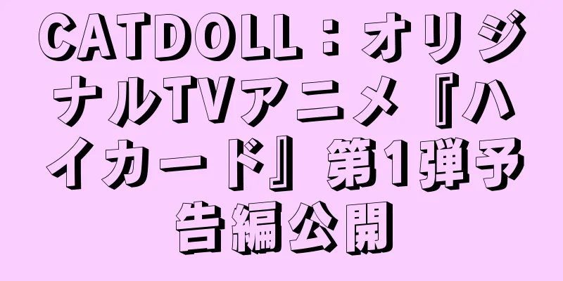 CATDOLL：オリジナルTVアニメ『ハイカード』第1弾予告編公開